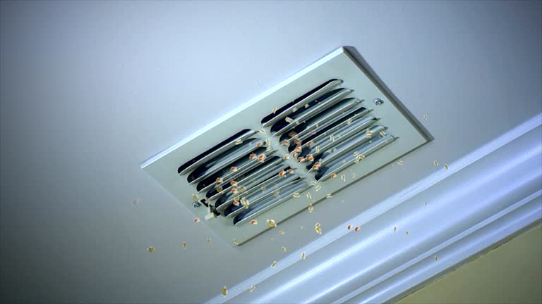 Best Best Air Duct Cleaning Company  in California, MD
