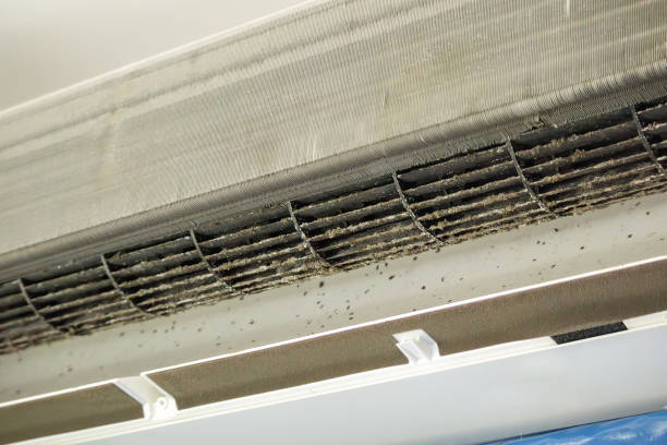 Best Professional Duct Cleaning Services  in California, MD